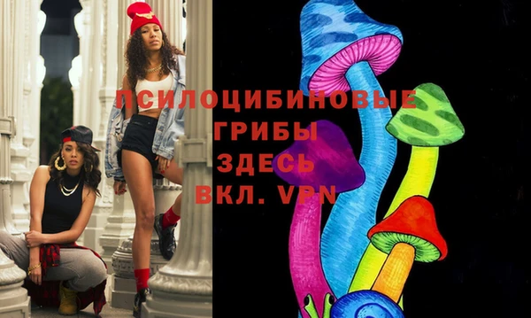 дурь Белоозёрский