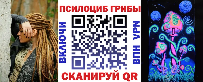 где купить наркоту  Коммунар  Галлюциногенные грибы Psilocybe 